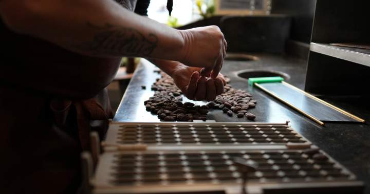 Compliments Organic brand chocolate recalled due to ‘undeclared almonds’