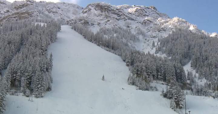 3 people killed in B.C. avalanche were Swiss nationals, reports say