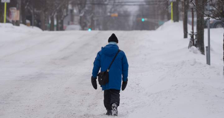 Parts of Nova Scotia, Quebec get early spring blast of snow