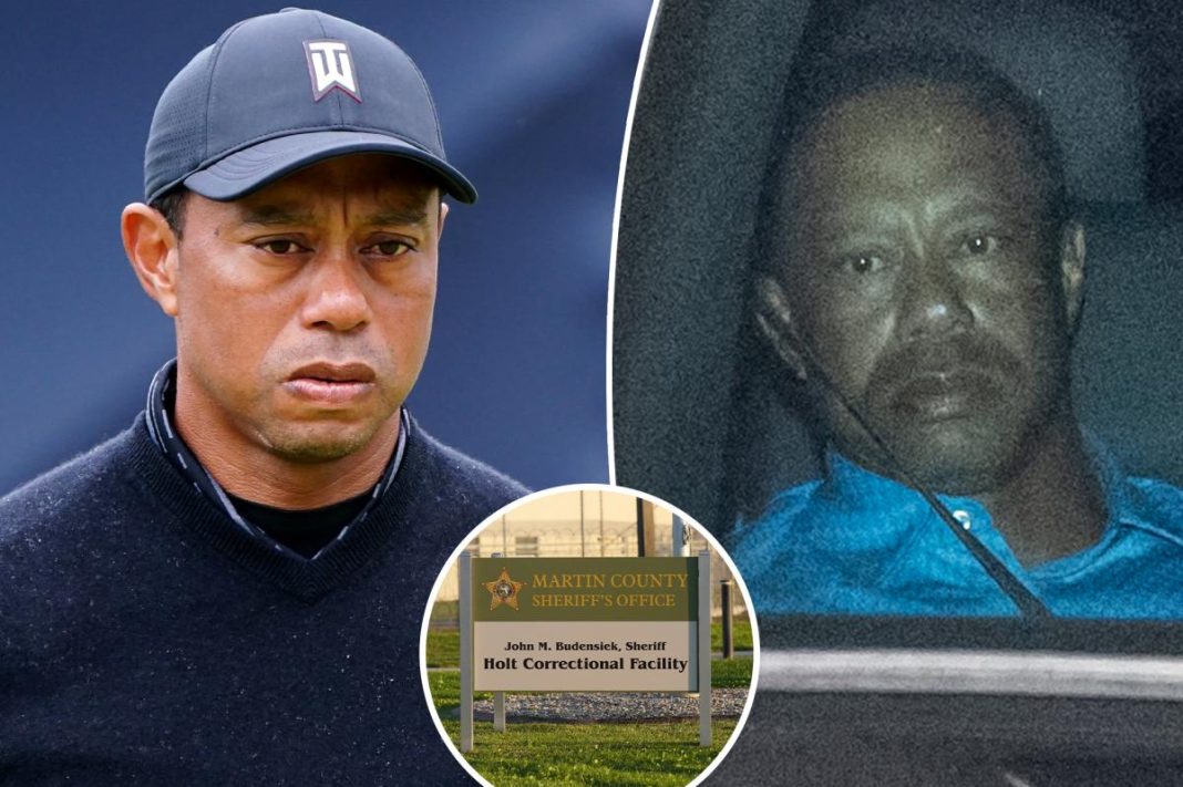 Tiger Woods seeking treatment that could ‘possibly’ keep him out of jail — but golfer will face tough consequences