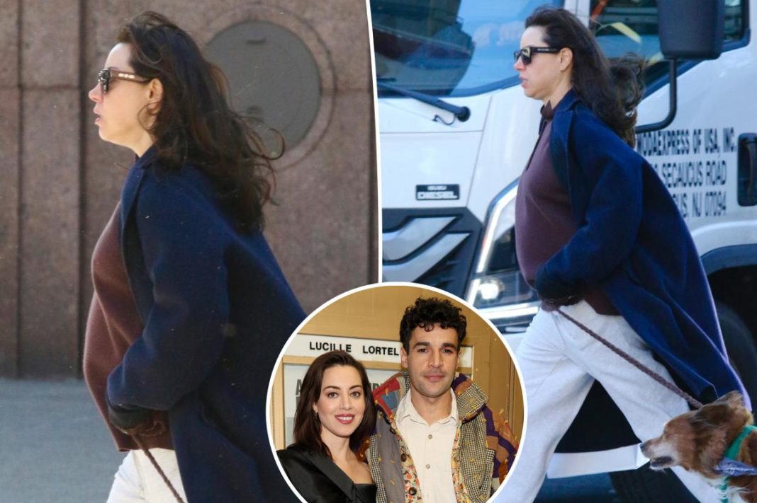 Pregnant Aubrey Plaza shows off her baby bump in new photos