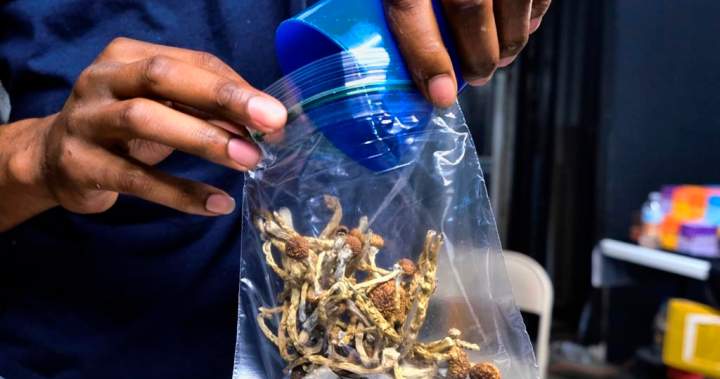 McGill-led study suggests psychedelics could change depression treatment