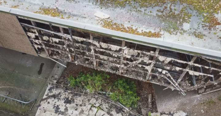 Vancouver Park Board approves plan to ask city for massive investment