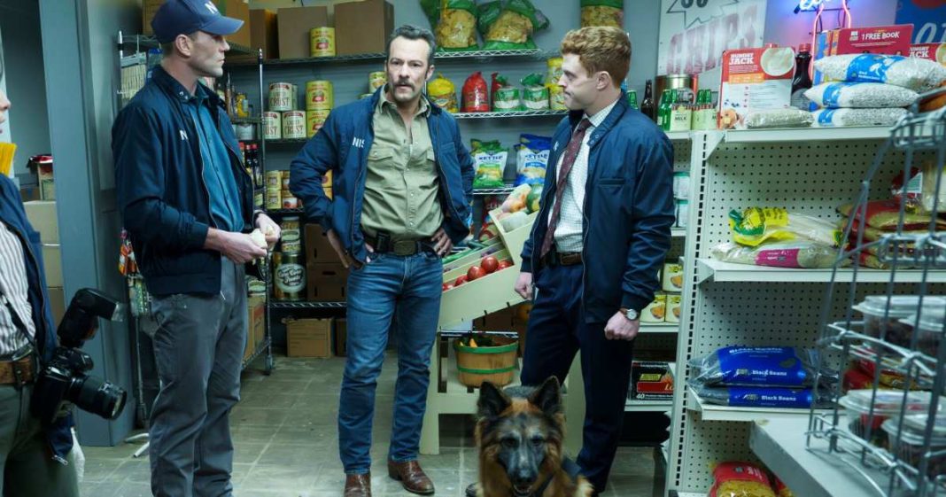 Did 'NCIS: Origins' Kill Off Gary Callahan the Dog After Shocking Stabbing?