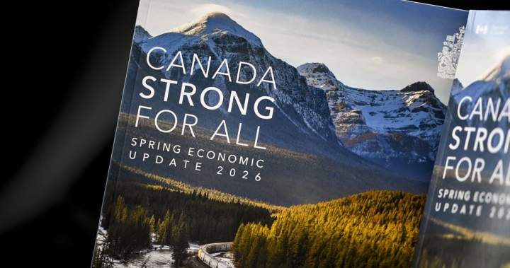 What’s in the AI strategy? Spring economic update’s ‘6 pillars’ offer clues