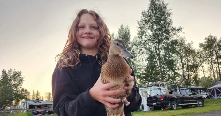 Dana White speaks about Maya Gebala’s treatment plan in U.S.