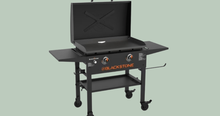 Best BBQs of 2026: Top grills for outdoor cooking