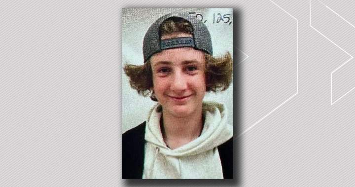 Man who killed St. Albert teen on dog walk sentenced to 14 years for manslaughter