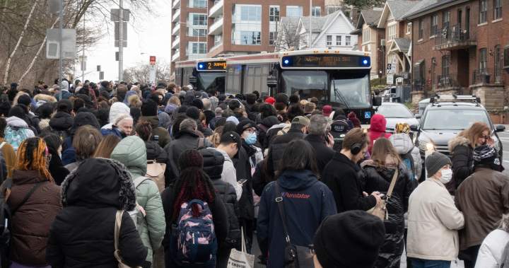 Toronto transit head apologizes after subway spill sparks commuter chaos