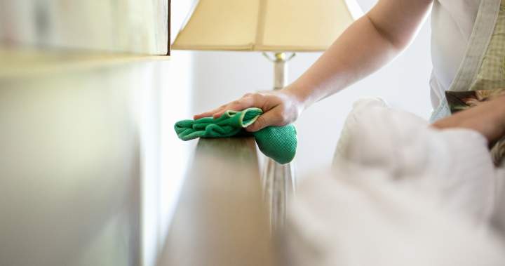 The Curator: Your spring cleaning questions, answered!