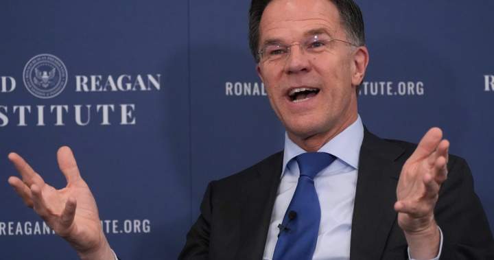 NATO chief says he understands Trump’s ‘disappointment’ with allies on Iran