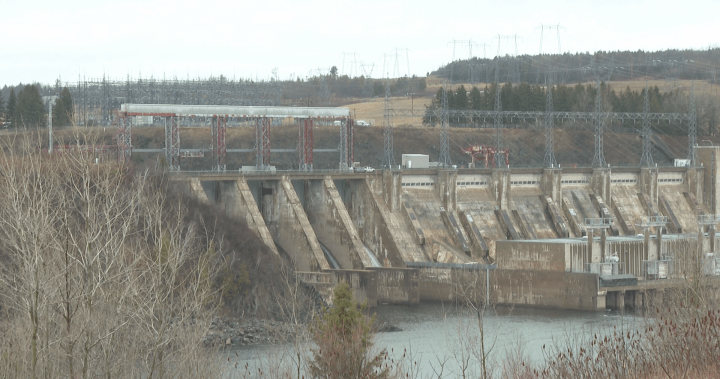 N.B. chiefs say closure of salmon conservation facility will lead to ‘extinction’