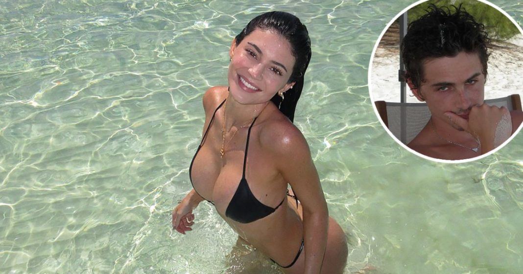 Bikini-Clad Kylie Jenner and Timothee Chalamet Hit the Beach in Steamy Shots