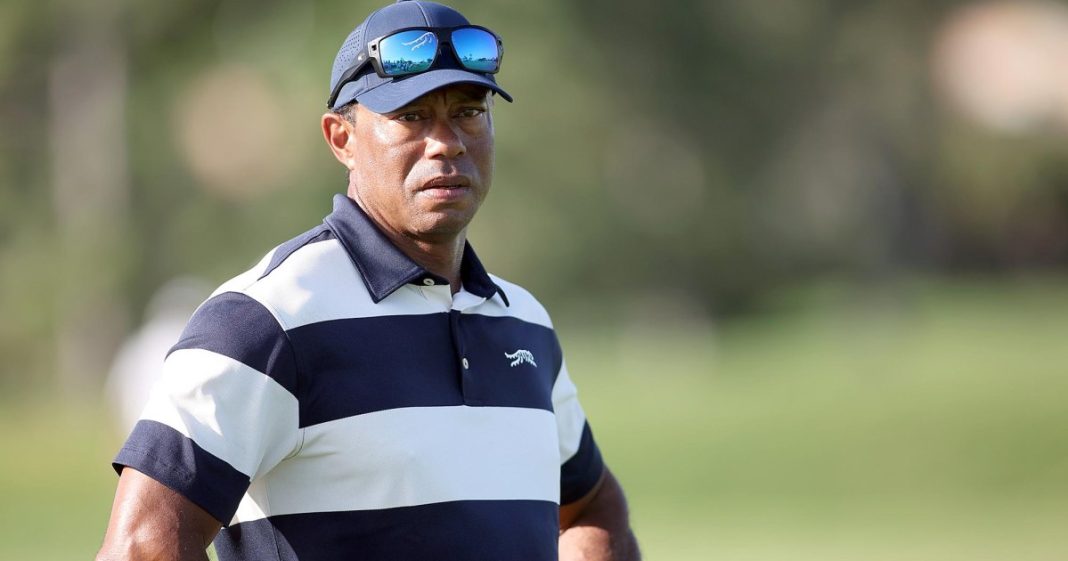 Tiger Woods' Jet Lands in Switzerland After Judge Approved Travel Amid DUI