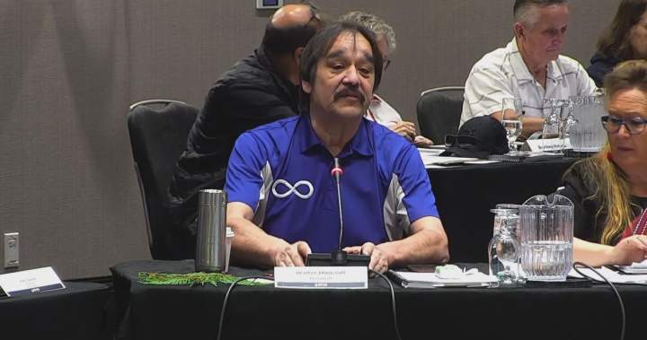 Métis Nation B.C. president removed over ‘serious allegations of misconduct’