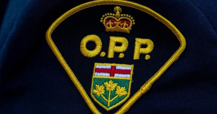 Boy killed, multiple hurt following 2-car crash in Mulmur, Ont.