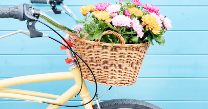 The Curator: Beginner’s guide to buying bikes for 2026 – find your perfect ride