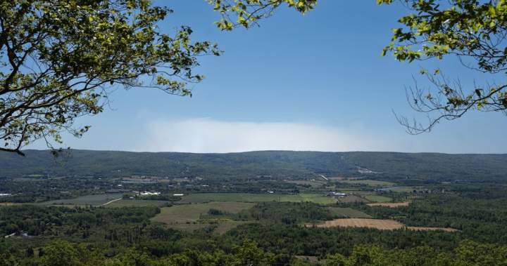 Nova Scotia’s provincewide ban on entering the woods was unreasonable, court rules