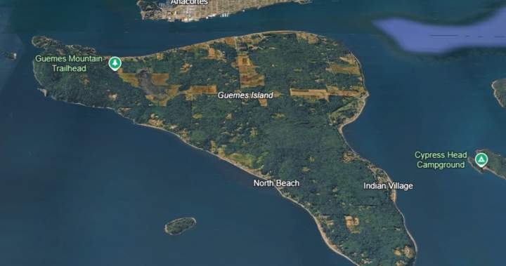 Between 20 and 25 deceased canines have washed up on Washington state beach