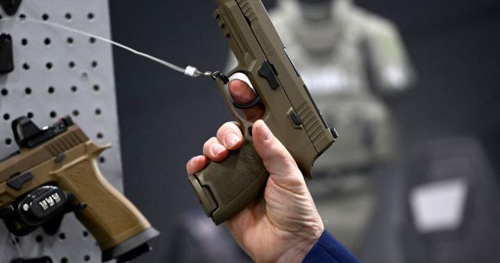 2024 had largest decrease in crimes with a firearm in 10 years: StatCan