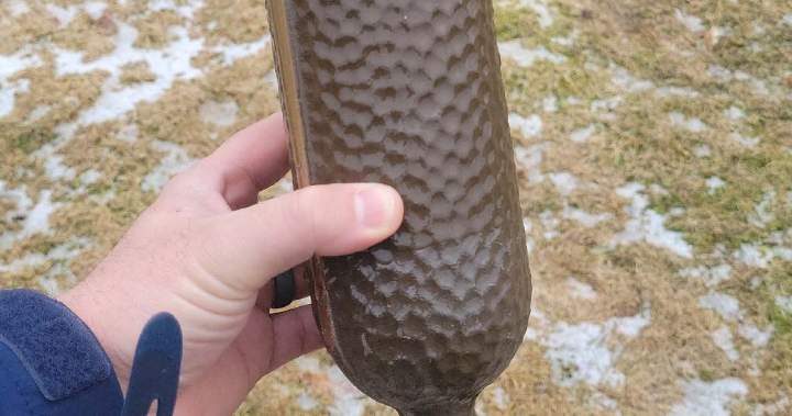 ‘Disappointing and disturbing’: More than 60 metal vases stolen from Nova Scotia cemetery