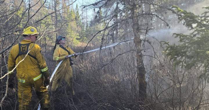 Early season wildfires in Maritime provinces has officials urging caution
