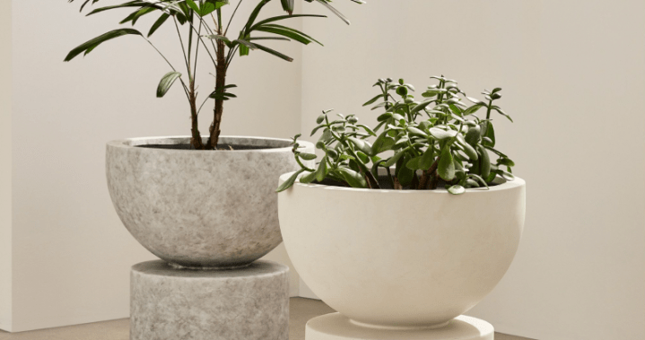 The Curator: The most aesthetic planters you can buy in Canada right now