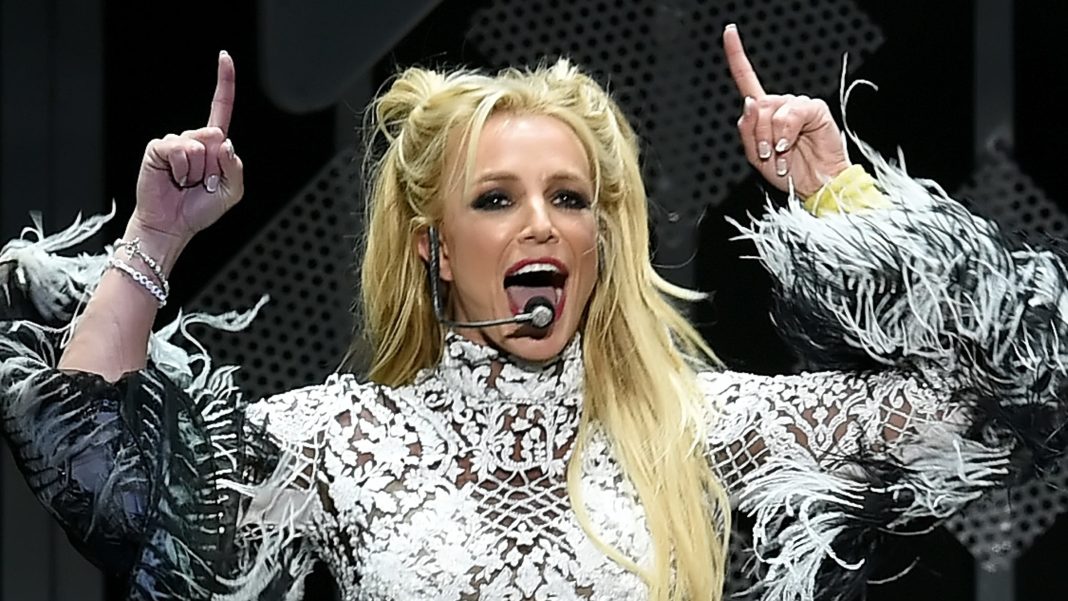 Britney Spears Visited Liquor Store Ahead of ‘Barking’ Dinner: What Did She …