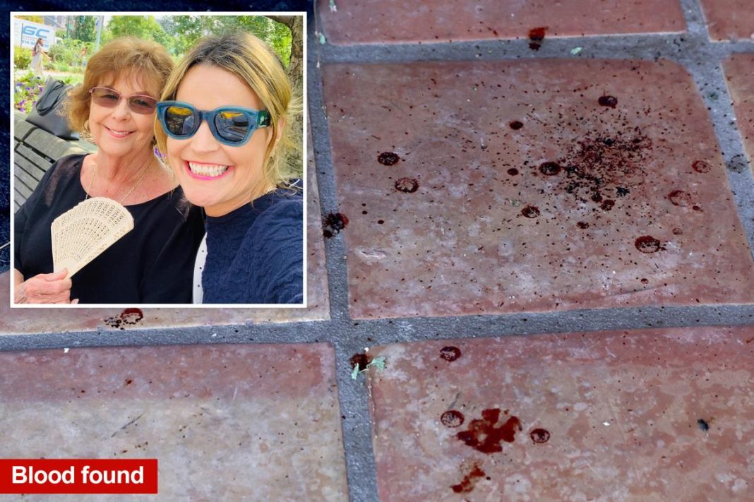 Chilling ‘last stand’ clue that shows Nancy Guthrie was alive when abducted: retired FBI agent