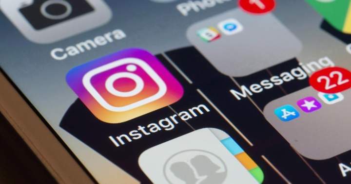 Social media and AI ban for New Brunswick youth a possibility: Holt