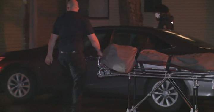 Ladner woman who killed her mother found not criminally responsible