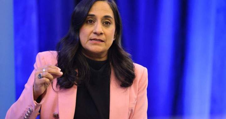 Anand summons Israeli envoy over ‘mistreatment’ of Canadians aboard flotilla