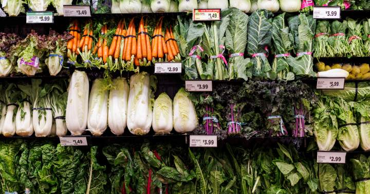 Rising food costs have forced British Columbians to shop differently, eat less: poll