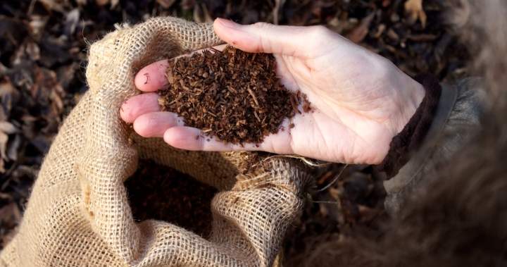Montreal company on mission to turn pet poop into compost
