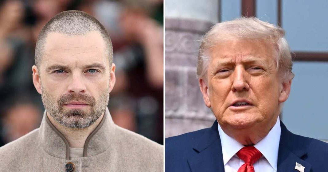 Sebastian Stan Slams Donald Trump After Playing Him in 'The Apprentice'
