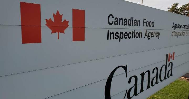 ZoRaw chocolate recalled in Canada due to ‘improperly declared milk’