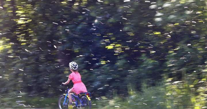 Runny nose? Itchy? Experts say seasonal allergies worsening due to increase in pollen