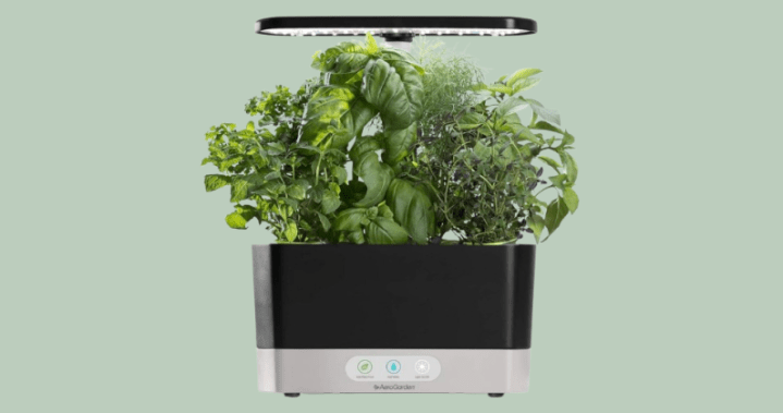 Small space gardening: Make the most of every corner