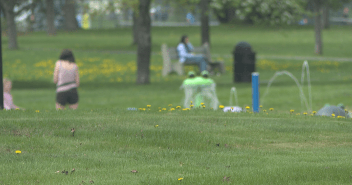 Warm weather in the Maritimes hints at a hot summer ahead