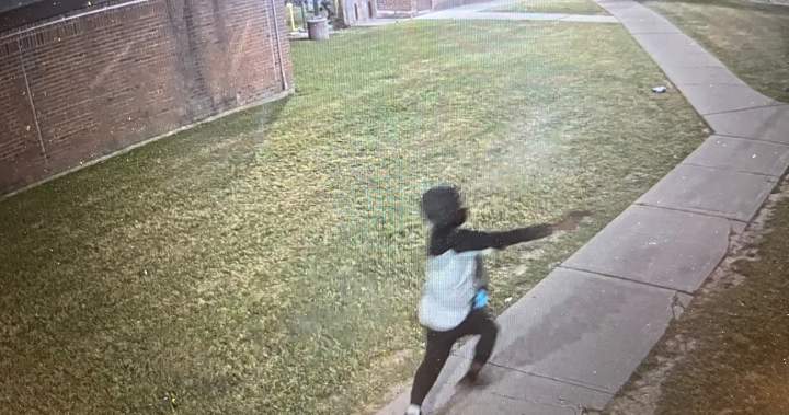 Video of execution-style shooting shown at trial for teen charged with 1st-degree murder