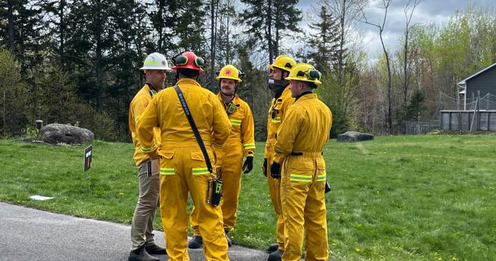 Fredericton firefighters receive special training to combat wildfires near populated areas