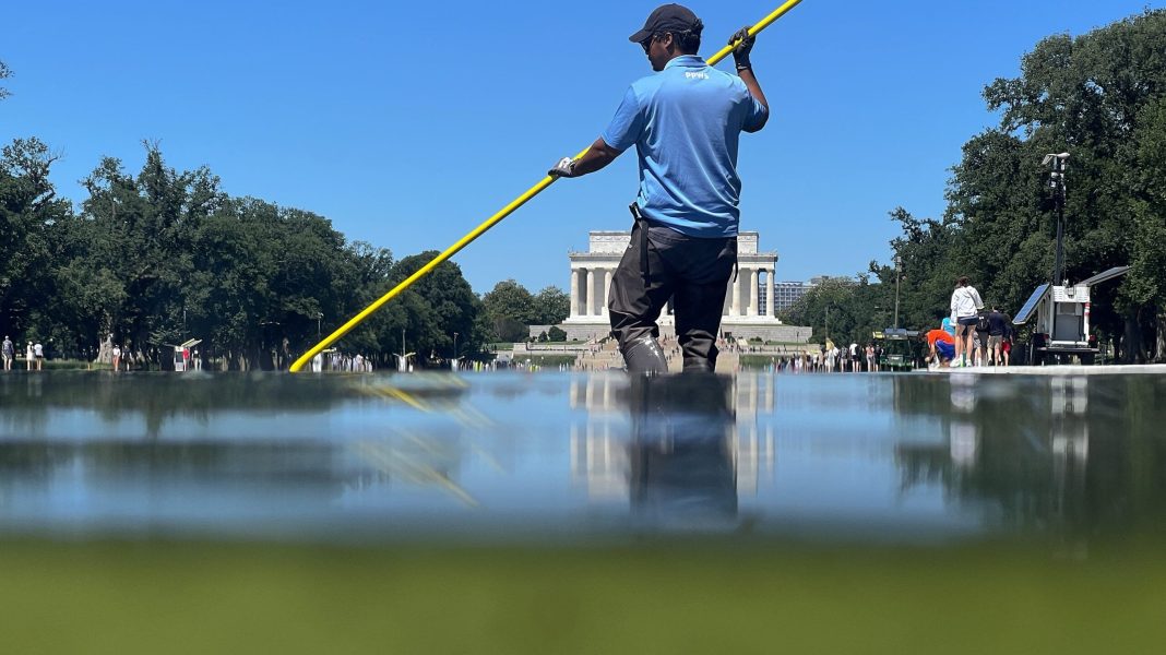 Antifa Algae? Trump Fans Spin Wild Theories About Reflecting Pool