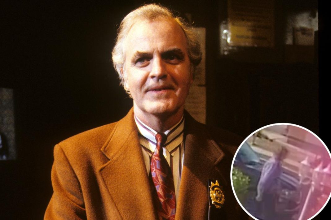 Actor James Handy’s girlfriend’s son charged with murder, faces 26 years to life in prison