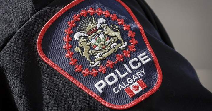 Calgary criminologist sees ‘disturbing trend’ as police investigate rise in gun violence