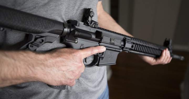 Ottawa extends amnesty for banned firearms amid Supreme Court challenge