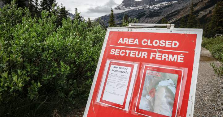 Section of Banff National Park remains closed to visitors a year after rockfall