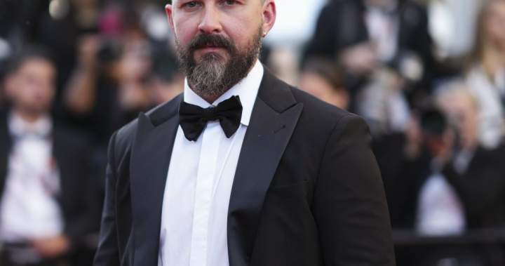 Shia LaBeouf pleads guilty to battery charge in Mardi Gras bar incident