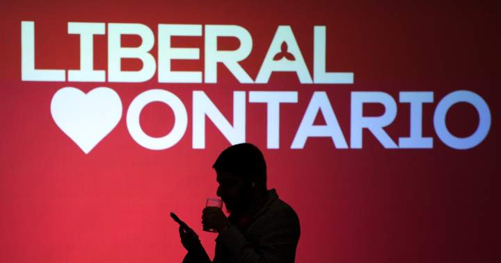 Former Wynne, Trudeau staffer hopes policy chops can win Ontario Liberal leadership race