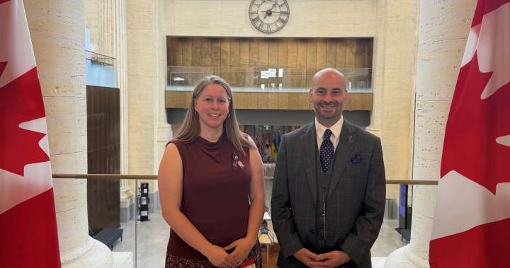 Bailey’s Law receives royal assent, brings reform to intimate partner violence laws