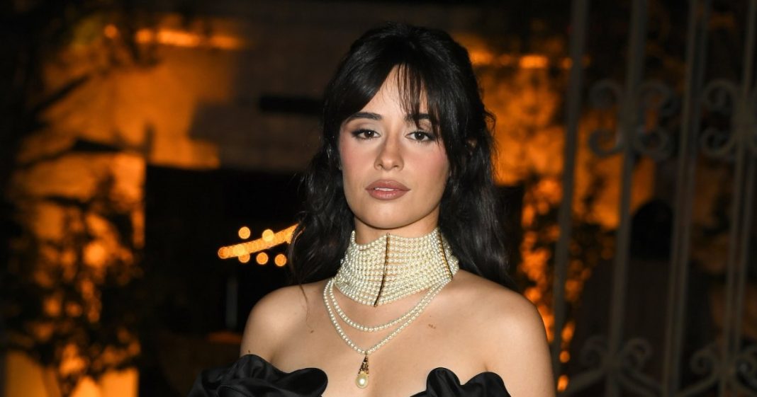 Camila Cabello and Boyfriend Henry Junior Chalhoub Split